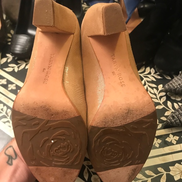 TARYN ROSE - Picture 4 of 8